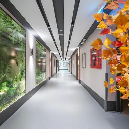 Romatem Move Disabled 4* Estambul