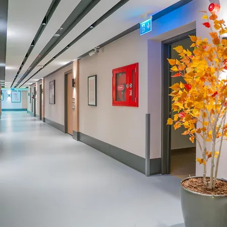 Romatem Move Disabled Estambul