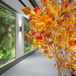 Hotel Romatem Move Accessible 4*