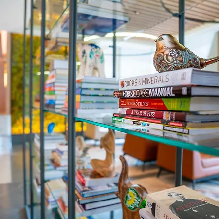 Hotell Romatem Move Disabled