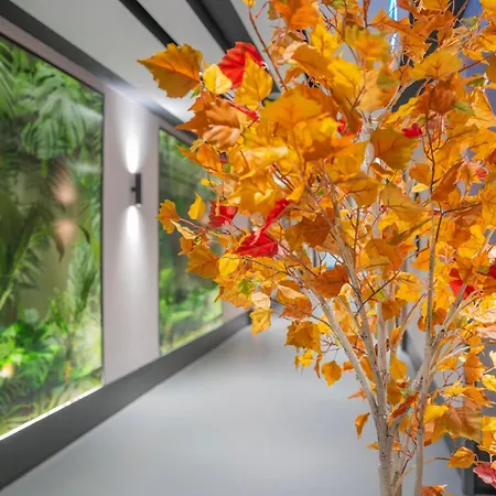 Hotell Romatem Move Disabled 4*