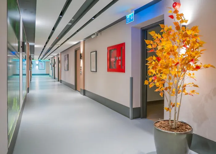 Romatem Move Disabled Stambuł