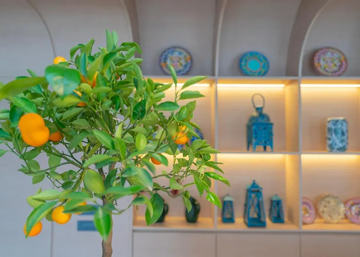 Romatem Move Disabled