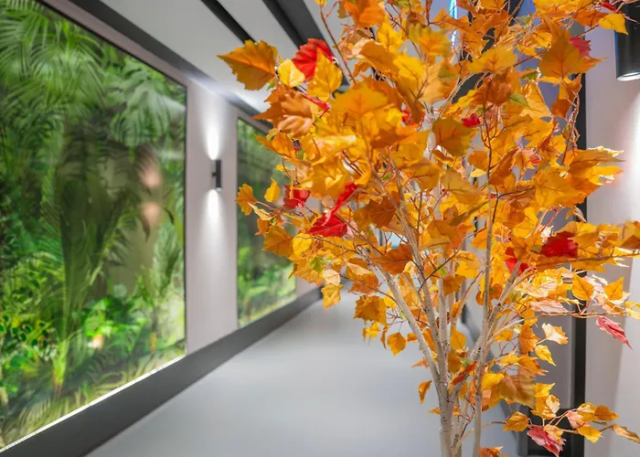 Hotel Romatem Move Disabled 4*